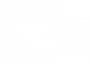 Vitaprotech logo